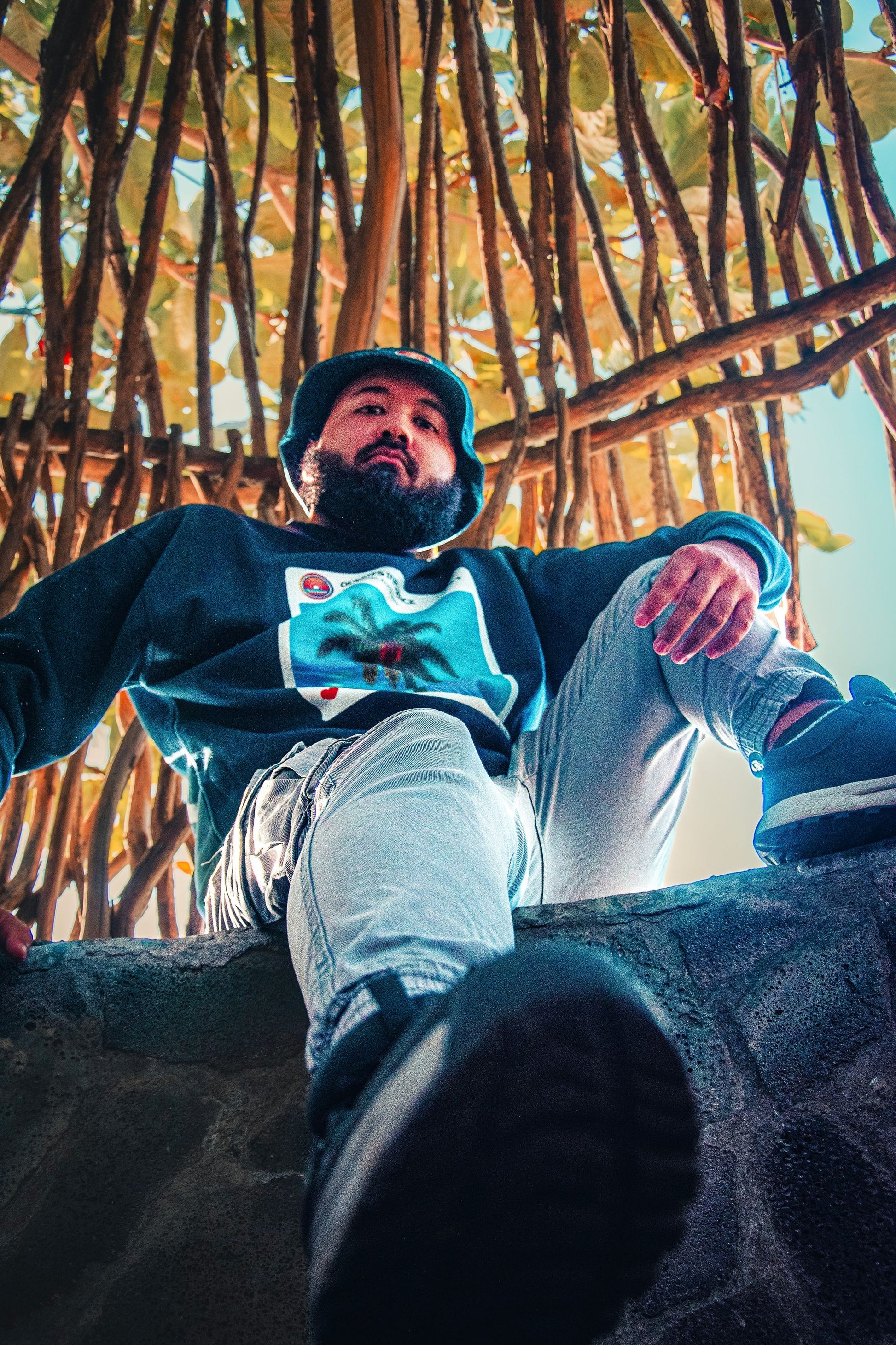 Sweatshirt InstaPalm